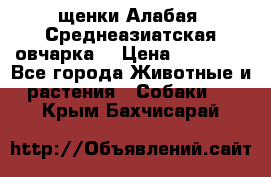 щенки Алабая (Среднеазиатская овчарка) › Цена ­ 15 000 - Все города Животные и растения » Собаки   . Крым,Бахчисарай